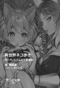 Page 13 of Isekai Neko Aruki - preview thumbnail