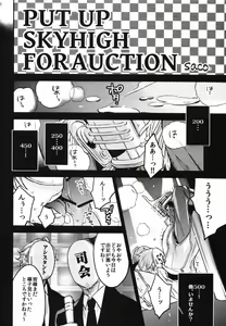 Page 19 of PUT UP SKYHIGH FOR AUCTION - preview thumbnail