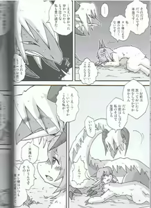 Page 13 of SYRU-DRA 3 - preview thumbnail