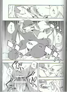 Page 52 of SYRU-DRA 3 - preview thumbnail