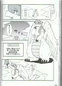 Page 91 of SYRU-DRA 3 - preview thumbnail