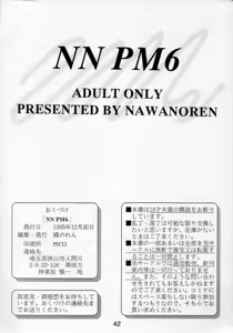 Page 41 of NN PM6 - preview thumbnail