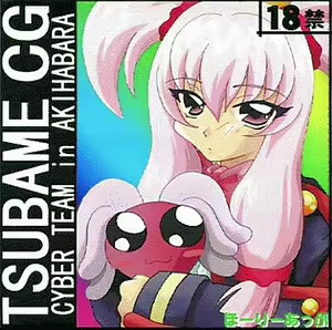 TSUBAME CG CYBER TEAM in AKIHABARA — hentai manga cover on Fhentai