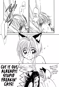 Page 21 of Miracle Seafood Cake - preview thumbnail