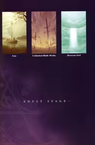 Page 218 of Fate/stay night Visual Story - preview thumbnail