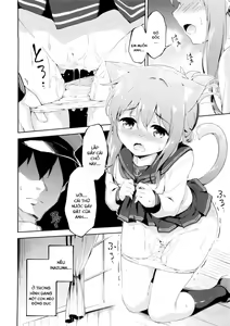 Page 15 of Inyaduma wa Hatsujouki - Inyaduma is in Estrus - preview thumbnail