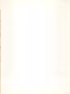 Page 2 of MAGICAL RIBBON SPECIAL - preview thumbnail