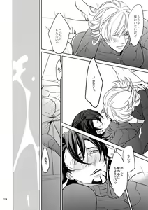 Page 213 of BOROZS Usagi Tora Sairoku - preview thumbnail