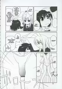 Page 5 of Inaba box - preview thumbnail