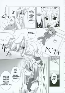 Page 12 of Inaba Box 2 - preview thumbnail