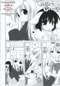 Page 5 of INABA BOX 3 - preview thumbnail