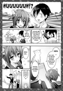 Page 15 of Nyancology -Kaettekita Nekota-san No himitsu- - preview thumbnail