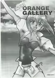 Page 3 of Esse Orange Gallery - preview thumbnail
