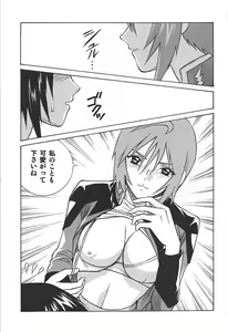 Page 22 of Meer to Lunamaria to Meyrin - preview thumbnail