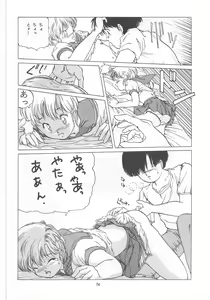 Page 74 of ONAPET MASTER - preview thumbnail