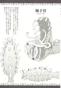 Page 4 of Syokusyu Zukan - preview thumbnail