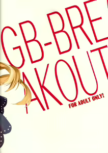 Page 16 of GB-BREAKOUT - preview thumbnail