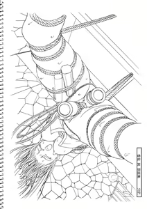 Page 50 of Kousaka Jun Genga - preview thumbnail