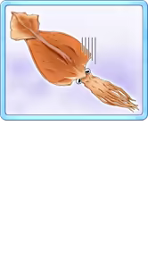 Page 1549 of MaoTen Character CGs - preview thumbnail