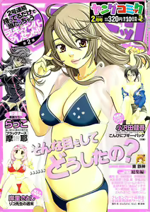 Young Comic 2007-02 — hentai manga cover on Fhentai