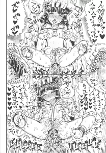 Page 15 of REFORM EDEN - preview thumbnail