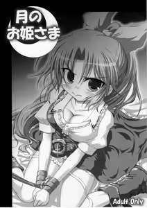 [Schwester (Shirau Inasaki) Tsuki no Ohimesama — hentai manga cover on Fhentai