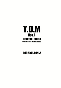 Page 18 of Y.D.M. Vers. R Limited Edition - preview thumbnail
