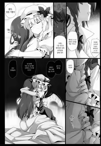 Page 19 of Meiling ga Ochite Shimau Hanashi F ~Flandre Route~ | 메이린이 타락해버리는 이야기 F ~플랑드르 루트~ - preview thumbnail