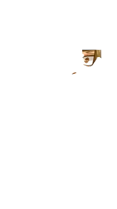 Page 258 of Harouosama!+♂ - preview thumbnail