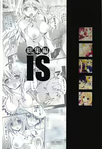 Page 174 of IS Soushuuhen - preview thumbnail