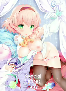 Special Secret Lady — hentai manga cover on Fhentai