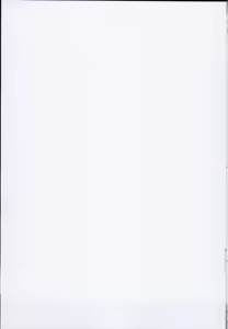 Page 27 of Punini - preview thumbnail