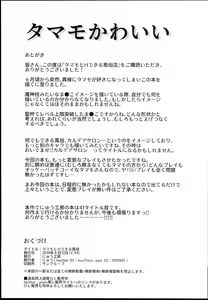 Page 21 of Tamamo to H Dekiru Fuuzokuten - preview thumbnail