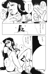 Page 26 of Ginrei Special GR-H - preview thumbnail