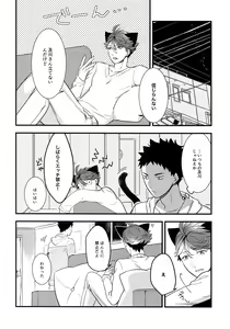Page 33 of Iwachan no Neko ni Naritai Sairoku-Shuu - preview thumbnail