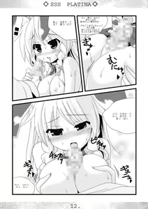 Page 12 of SSS PLATINA - preview thumbnail
