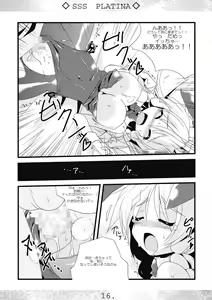Page 16 of SSS PLATINA - preview thumbnail