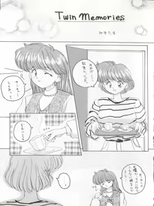 Page 13 of TWIN MEMORIES - preview thumbnail