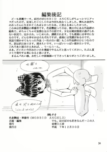 Page 33 of Shikisai Engi Junbigou MORBID ANGEL 2 - preview thumbnail