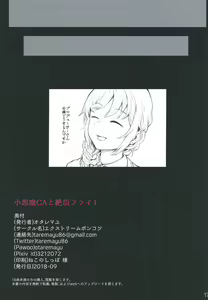Page 16 of Koakuma CA to Zecchou Flight - preview thumbnail