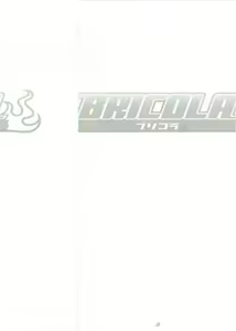 Page 3 of BRICOLA - preview thumbnail
