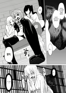 Page 11 of Hikyou na Kenshi ni wa Eien no Oshioki o - preview thumbnail