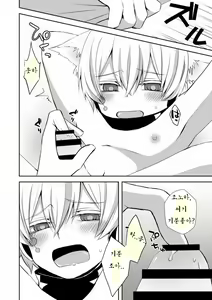 Page 9 of Neko Konoha no Jijiou - preview thumbnail