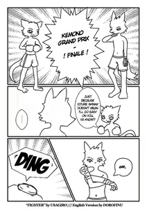 Fighter — hentai manga cover on Fhentai