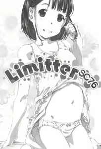Page 3 of Limitter SC76 - preview thumbnail