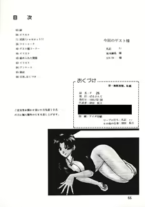 Page 64 of F-26 - preview thumbnail