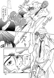 Page 39 of shadow defence ver.18 - preview thumbnail