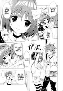 Page 5 of Trans H - preview thumbnail