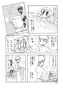 Page 154 of Blümenblatt - preview thumbnail