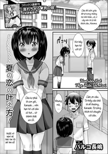 Natsu no Koi no Kanaekata! — hentai manga cover on Fhentai